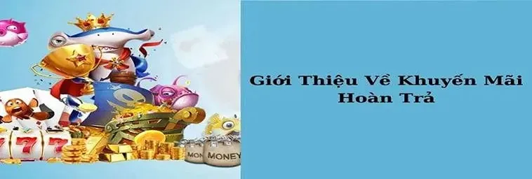 Hoàn Trả Không Giới Hạn Tại VNBET77: Cơ Hội Vàng Cho Cược Thủ Thỏa Sức Chơi!